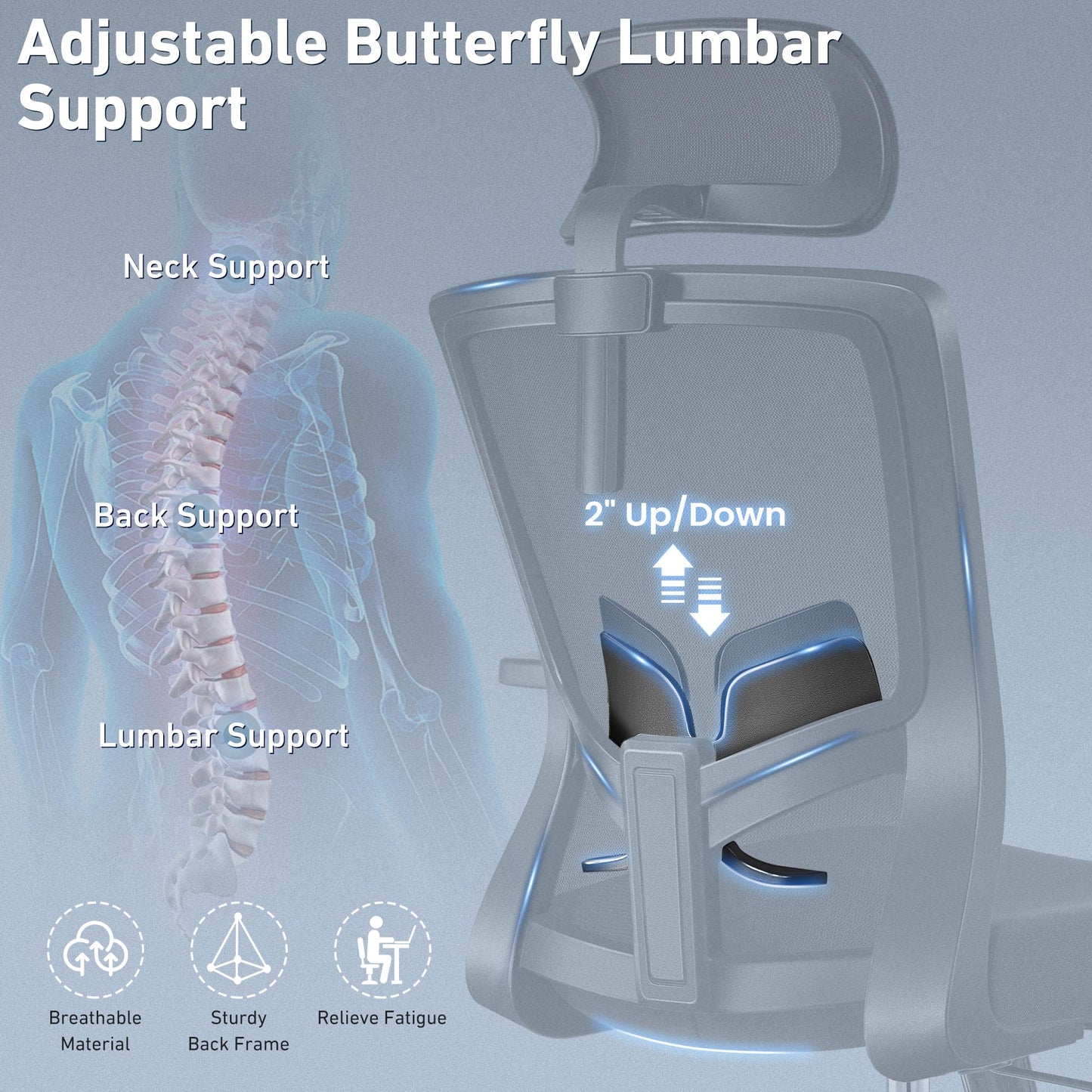 Ergonomic Desk Chair